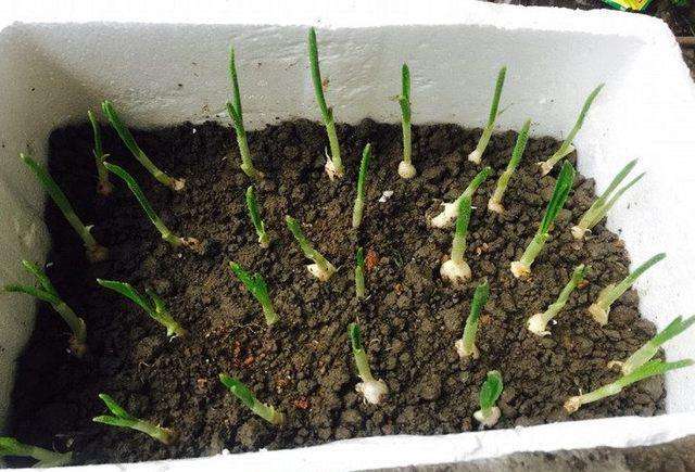 泡沫包裝箱定制